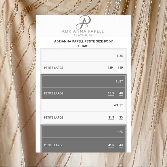 *Adrianna Papell Beaded Maxi Dress Blouson Gown* - Picture 7 of 7